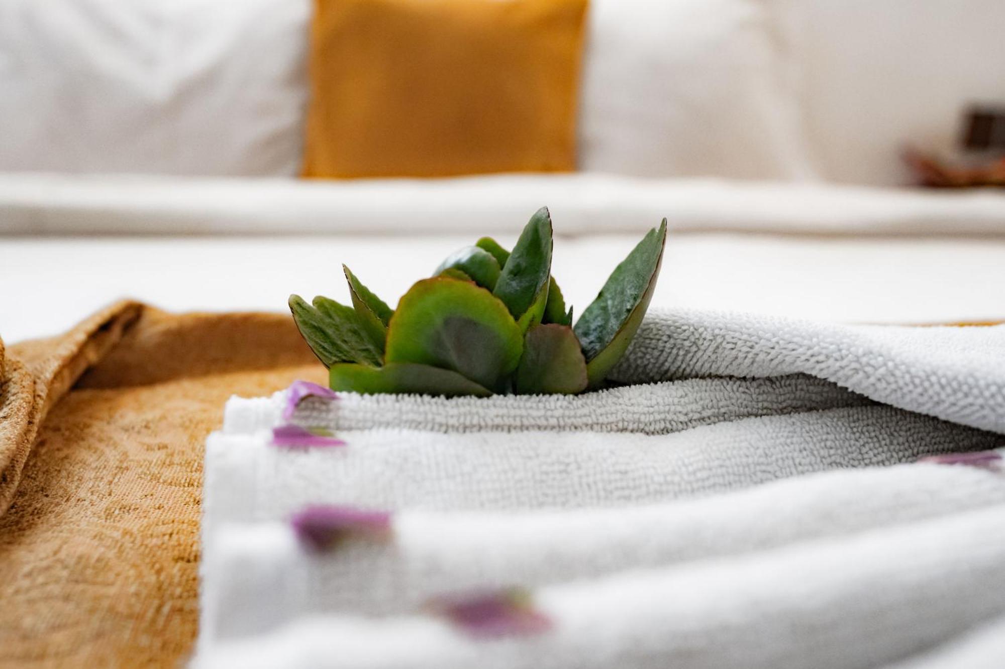 Zanzi House Hotell Zanzibar Eksteriør bilde